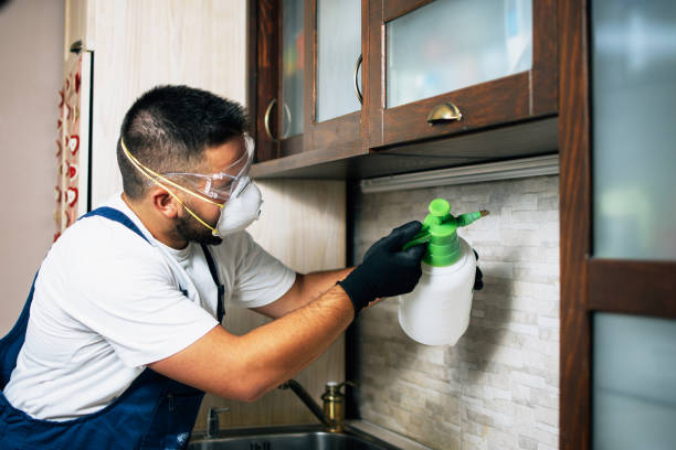 Best Mosquito Control Services  in Montrose, MI