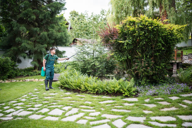 Best Pest Prevention Services  in Montrose, MI