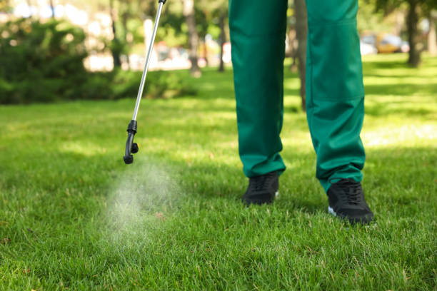 Best Residential Pest Control  in Montrose, MI