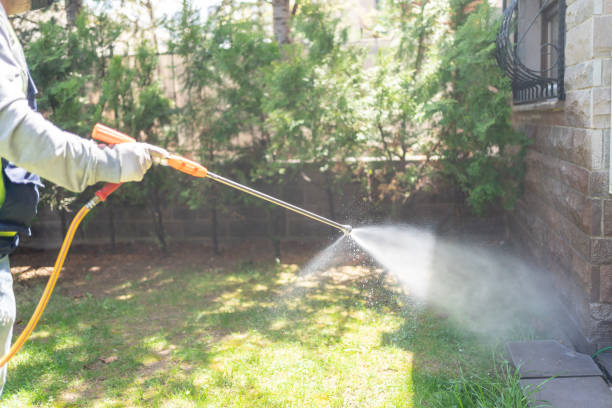 Best Insect Control  in Montrose, MI