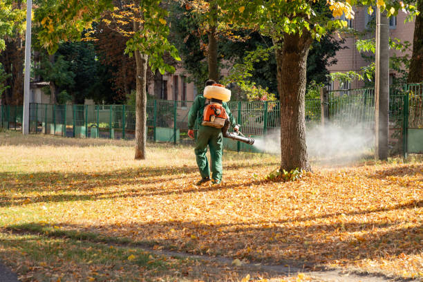 Pest Control Cost in Montrose, MI