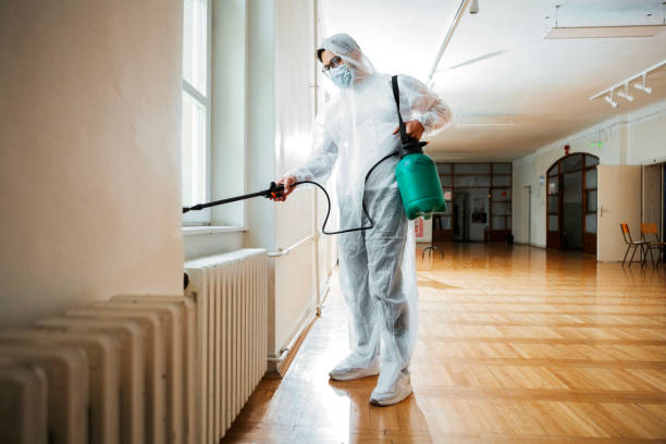 Best Emergency Pest Control  in Montrose, MI