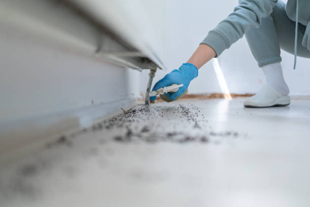 Best Pest Control Near Me  in Montrose, MI