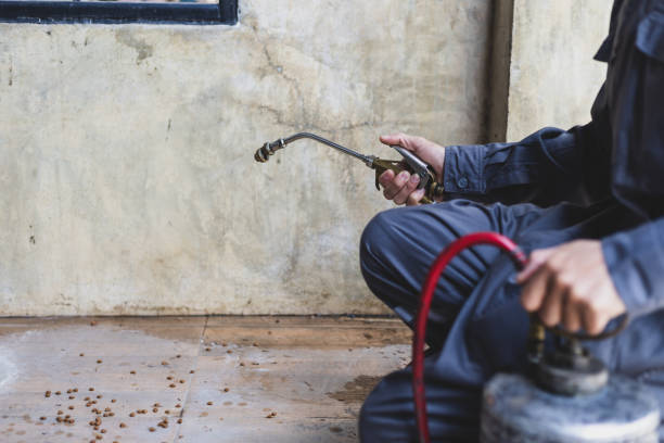 Best Pest Removal Services  in Montrose, MI
